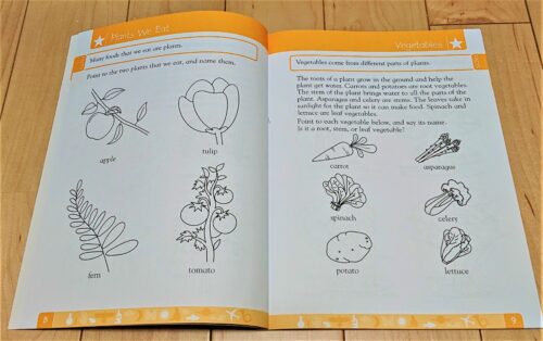 幼児・小学生へおすすめの英語ワークブック　DK-Science K 2